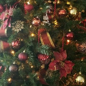 Meet your Posher, Taunia